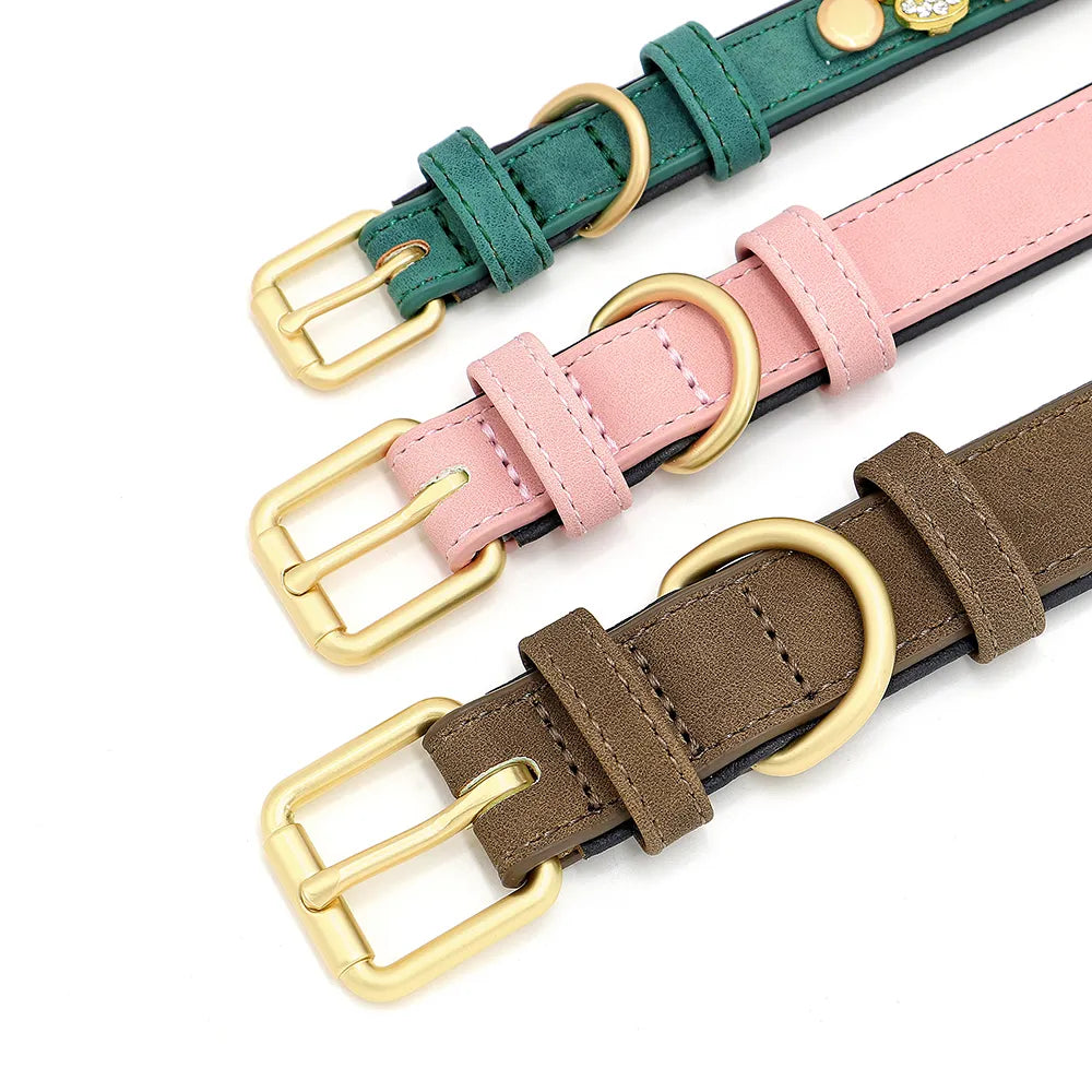 Personalized Leather Dog Collar
